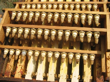 Пчелиные матки 02