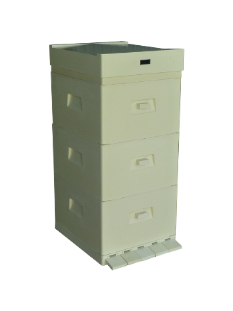 MIODOLAND خلايا النحل البولندية طبقات ملكة النحل تغزو تربية النحل في بولندا 03