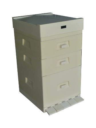 MIODOLAND خلايا النحل البولندية طبقات ملكة النحل تغزو تربية النحل في بولندا 04